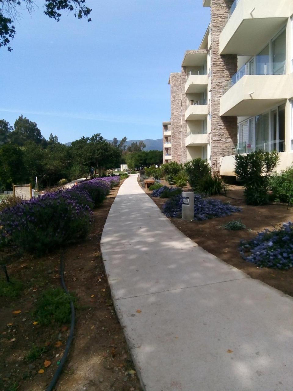Departamento En Papudo Διαμέρισμα Εξωτερικό φωτογραφία